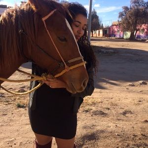 Meet your Posher, Luz